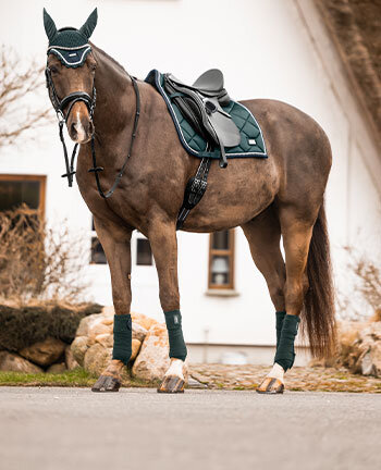 Outfits voor paarden