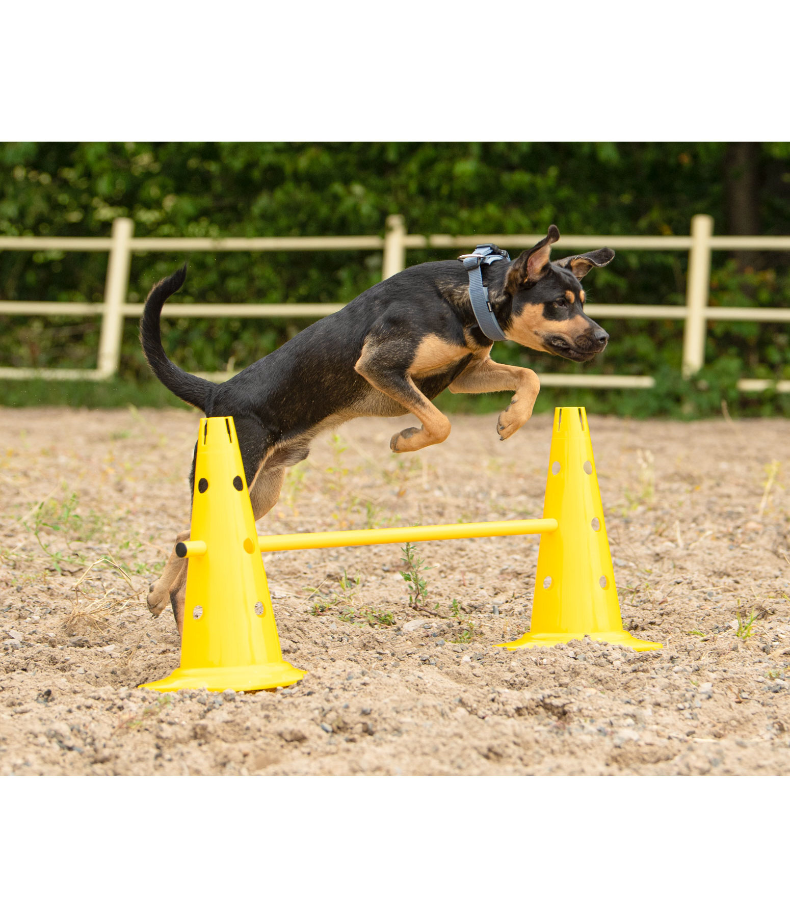 agility pylonen