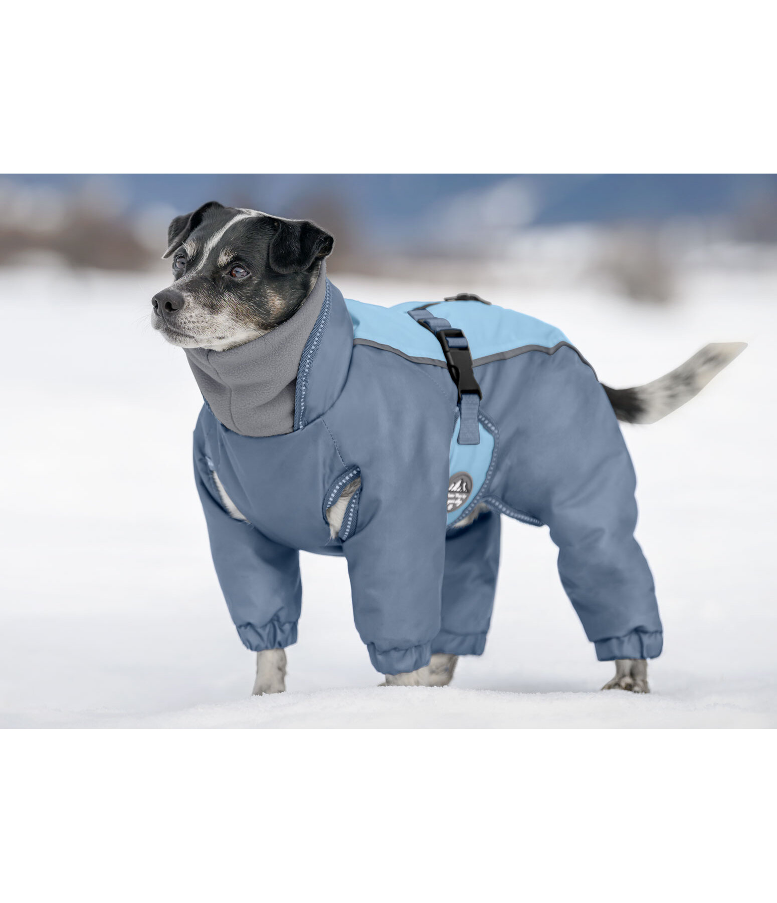 sneeuwoverall Mount Whistler voor honden, 120 g