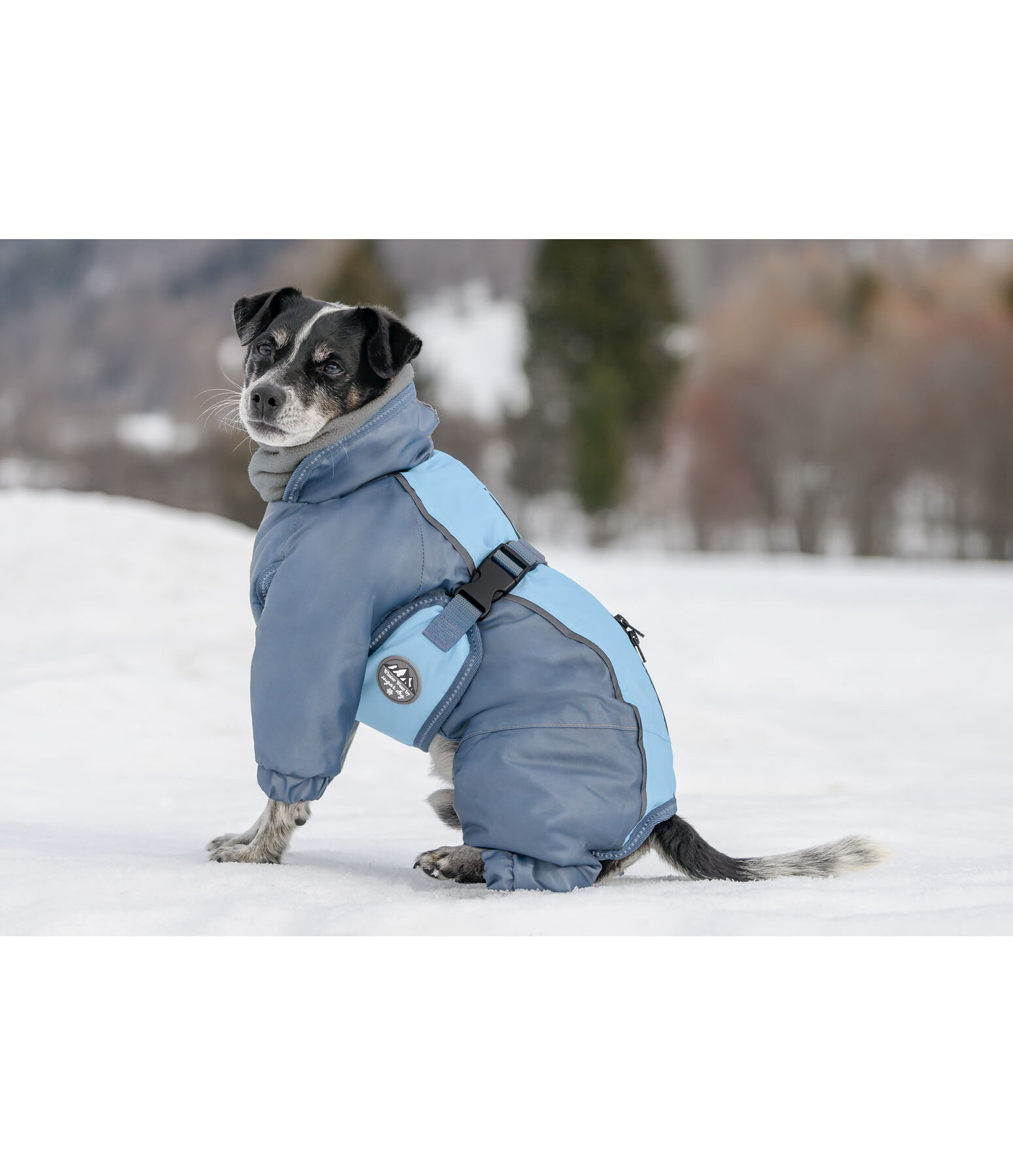 sneeuwoverall Mount Whistler voor honden, 120 g