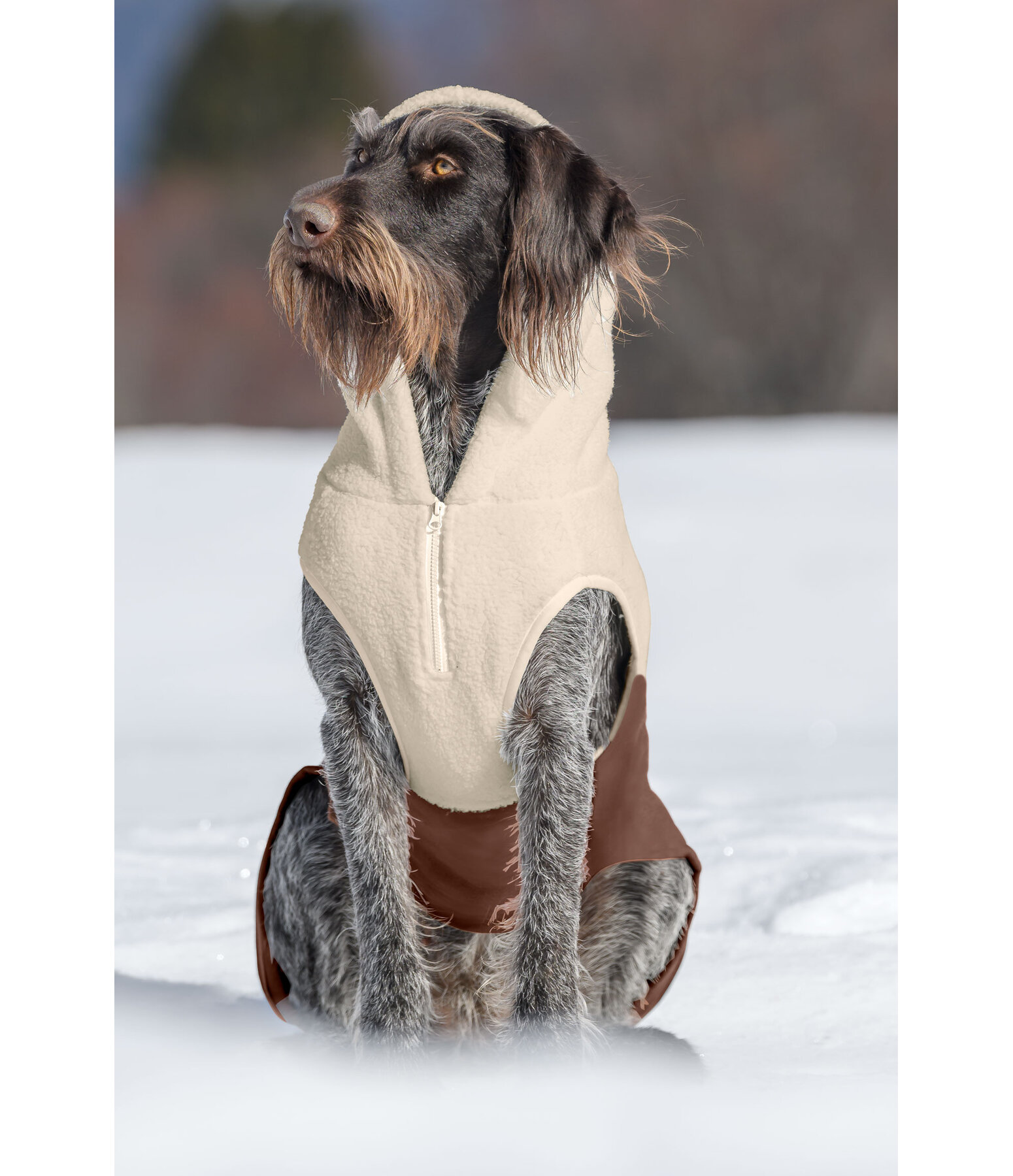 sherpa honden hoodie Sawyer