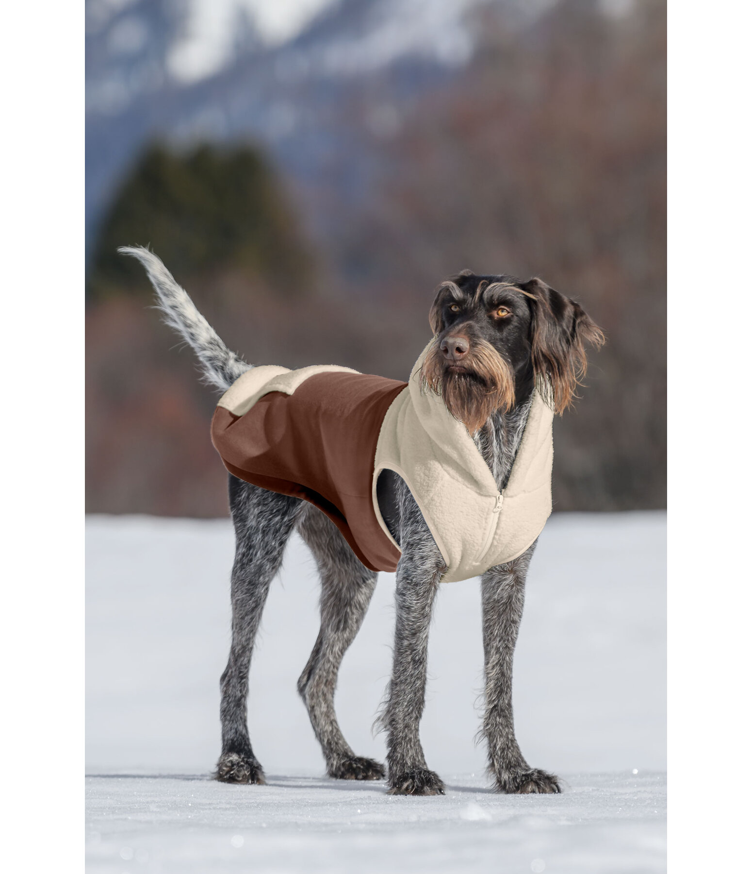 sherpa honden hoodie Sawyer