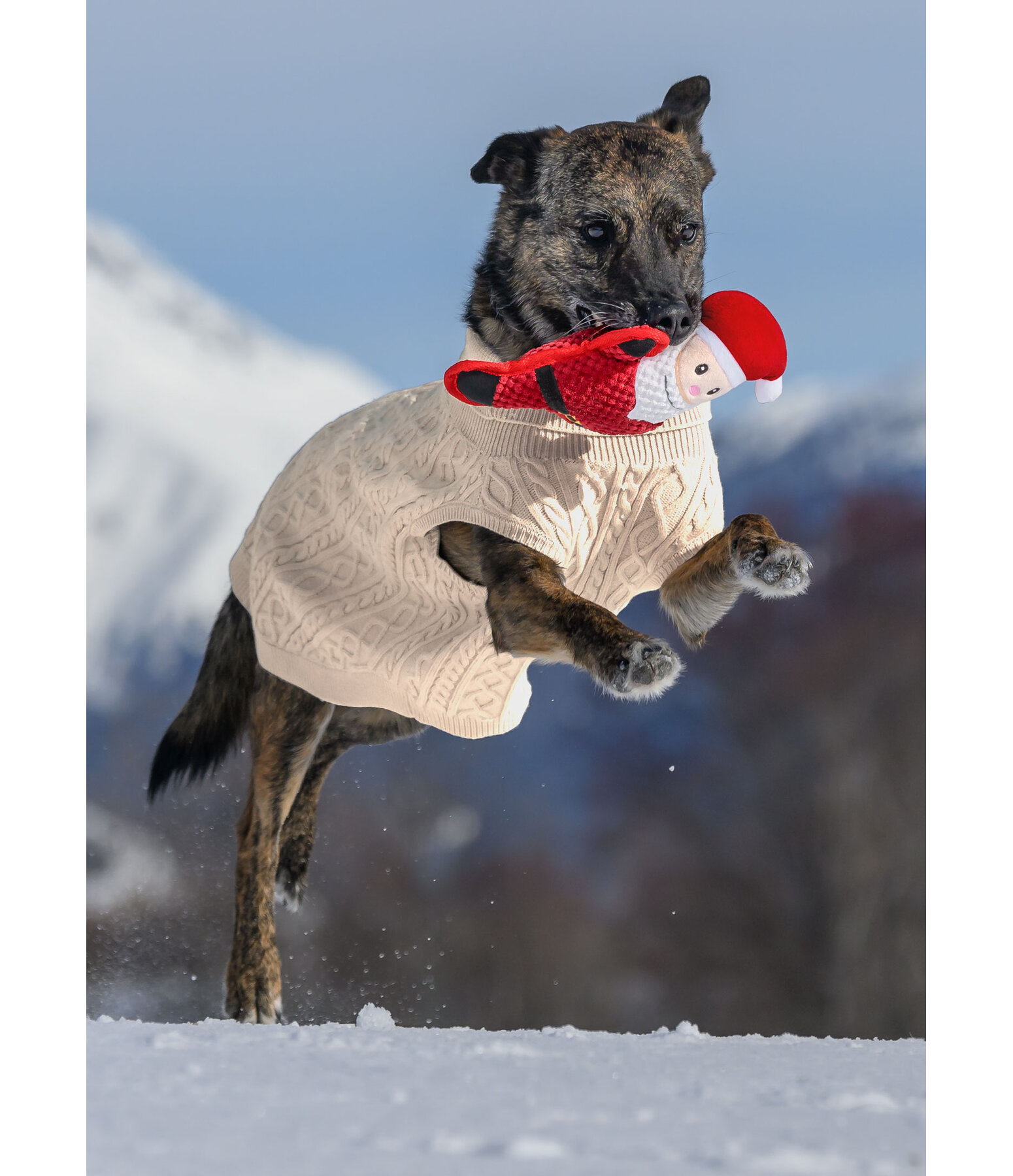 pluche honden knuffel Kerstman