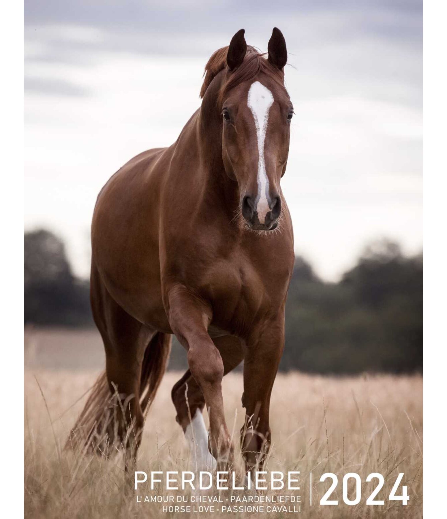 Kalender paardenliefde 2025