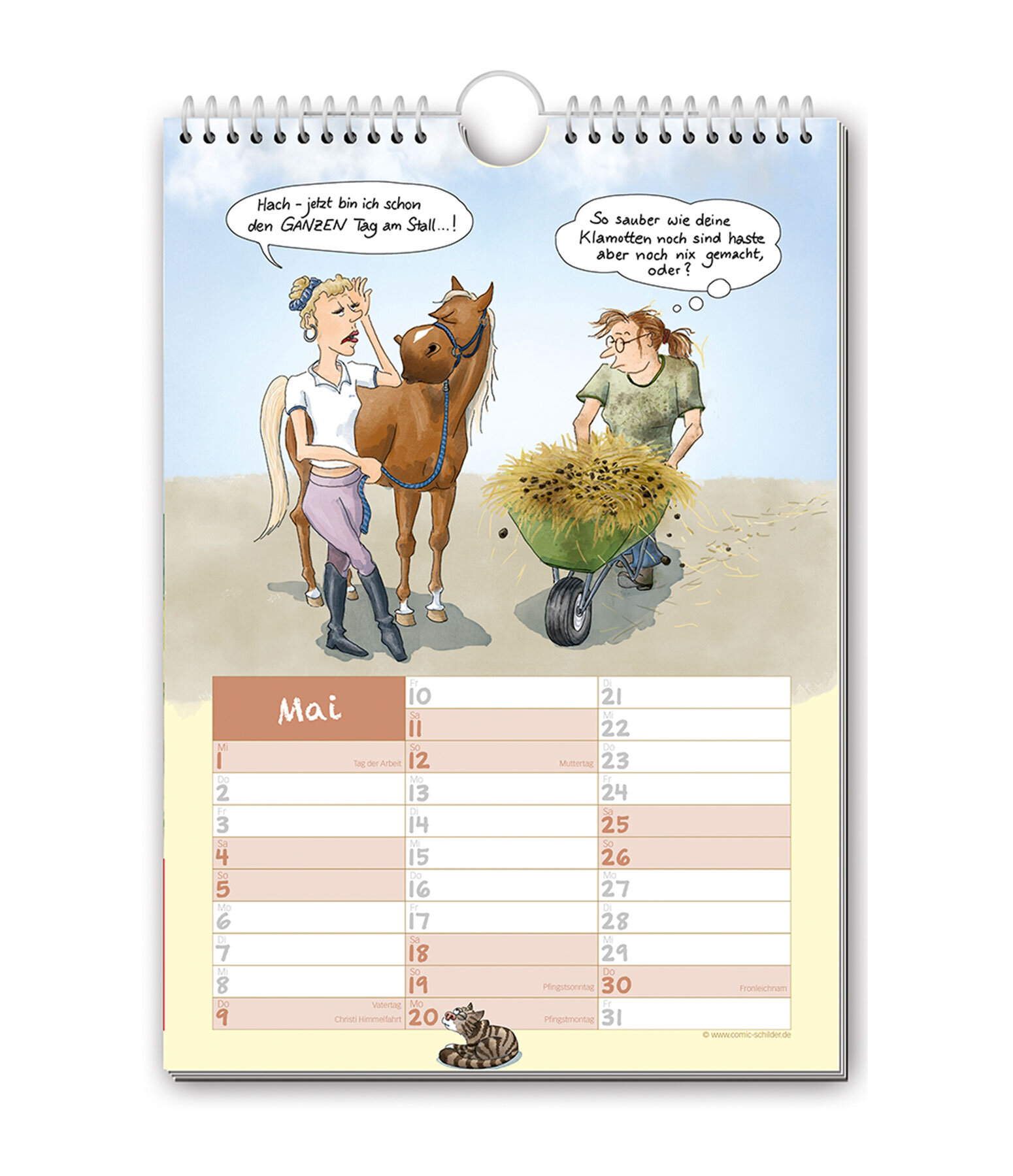 Paardenverhalen: comic kalender 2025