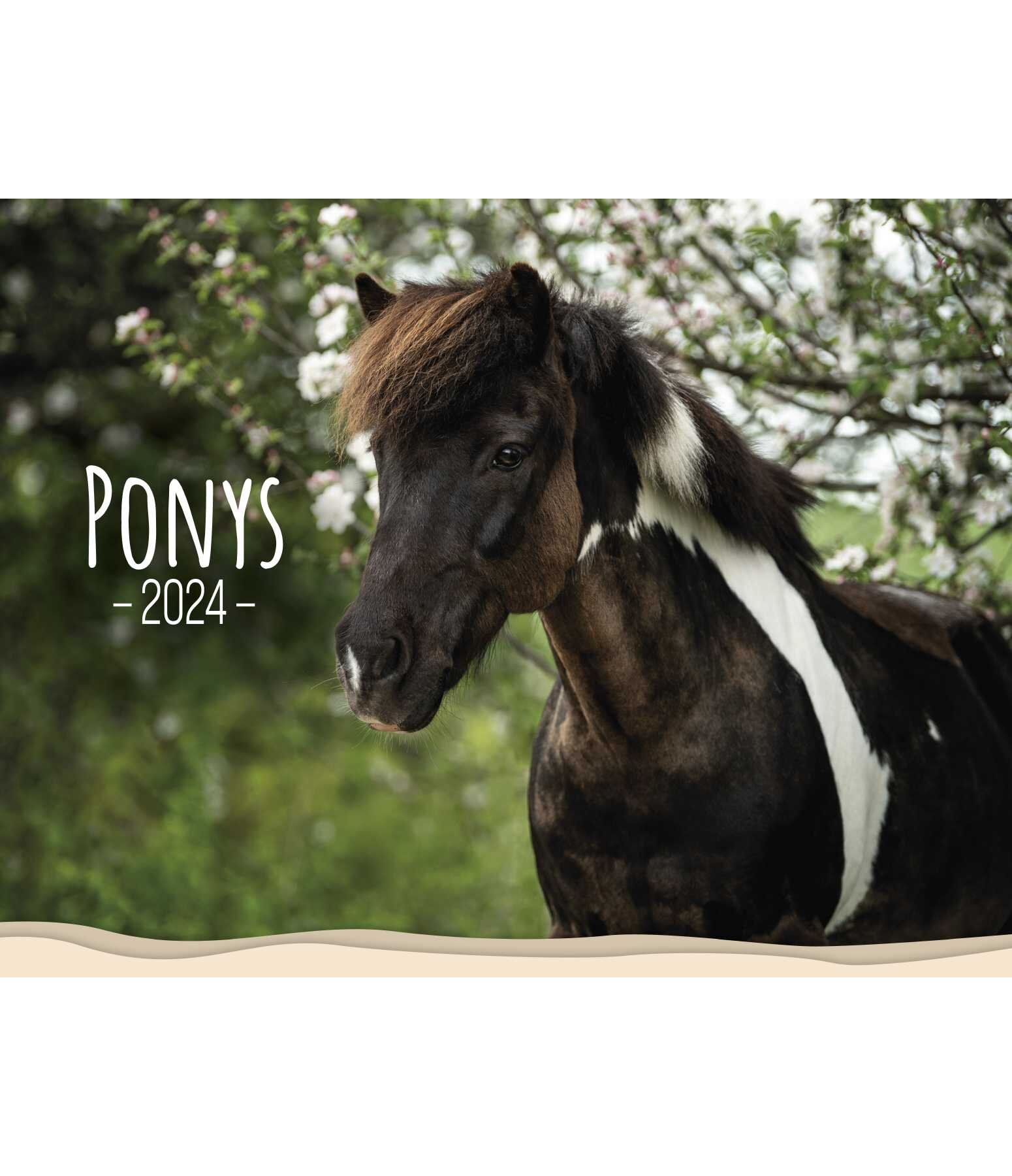 Pony kalender 2025