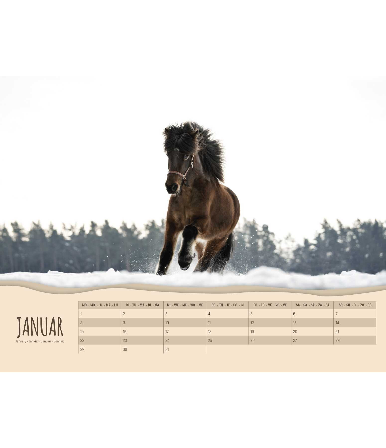 Pony kalender 2025