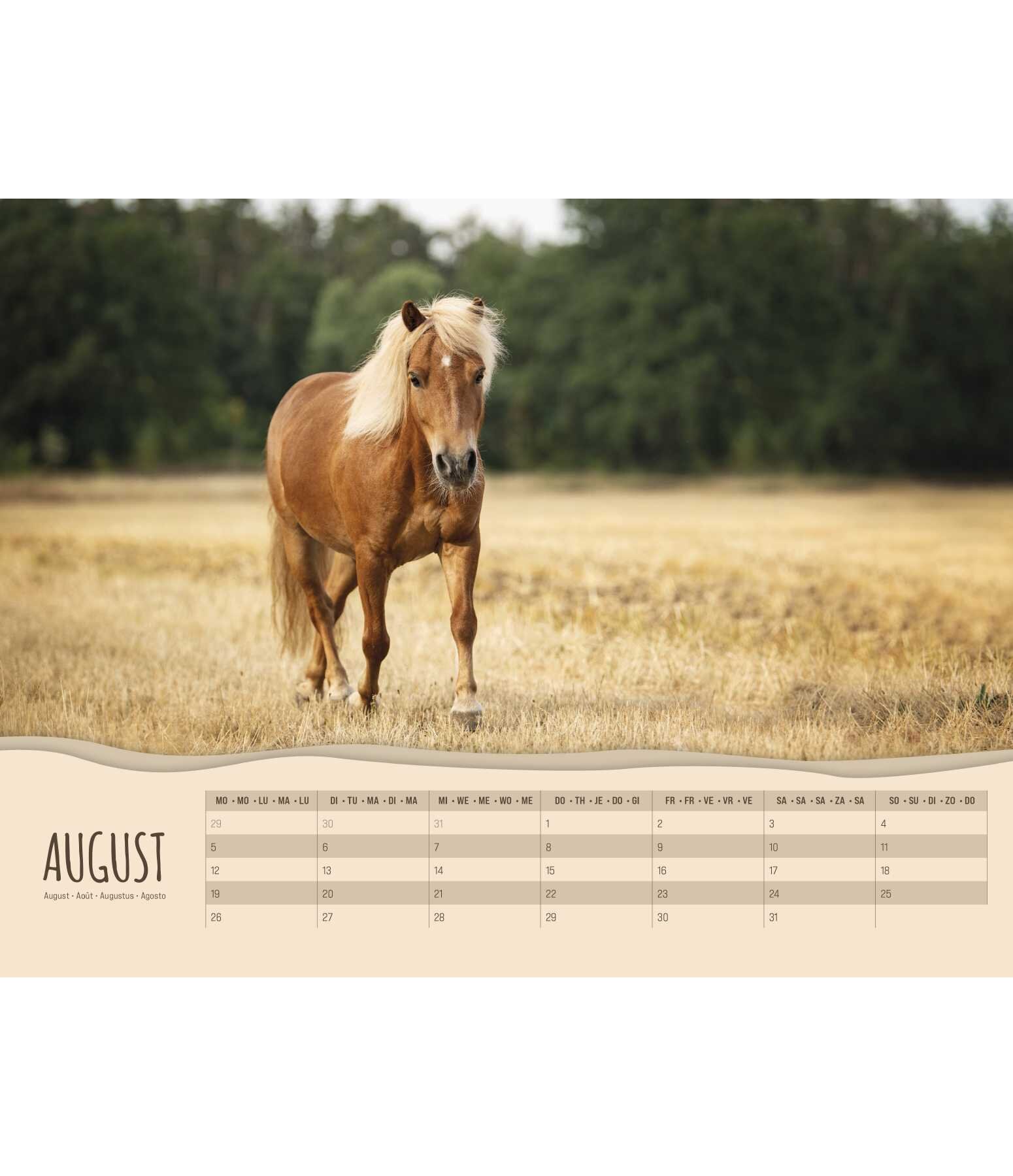 Pony kalender 2025