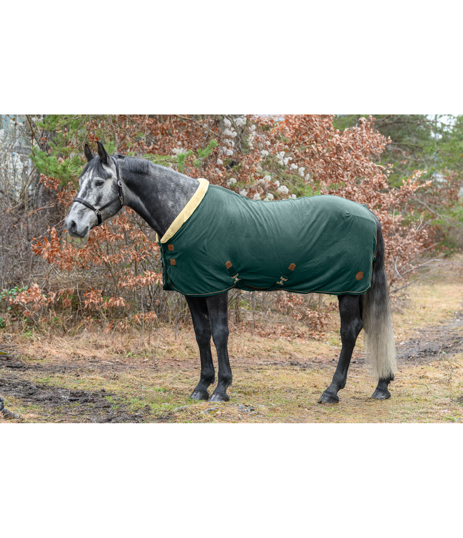 fleece zweetdeken Timeless Elegance met teddyfleece kraag