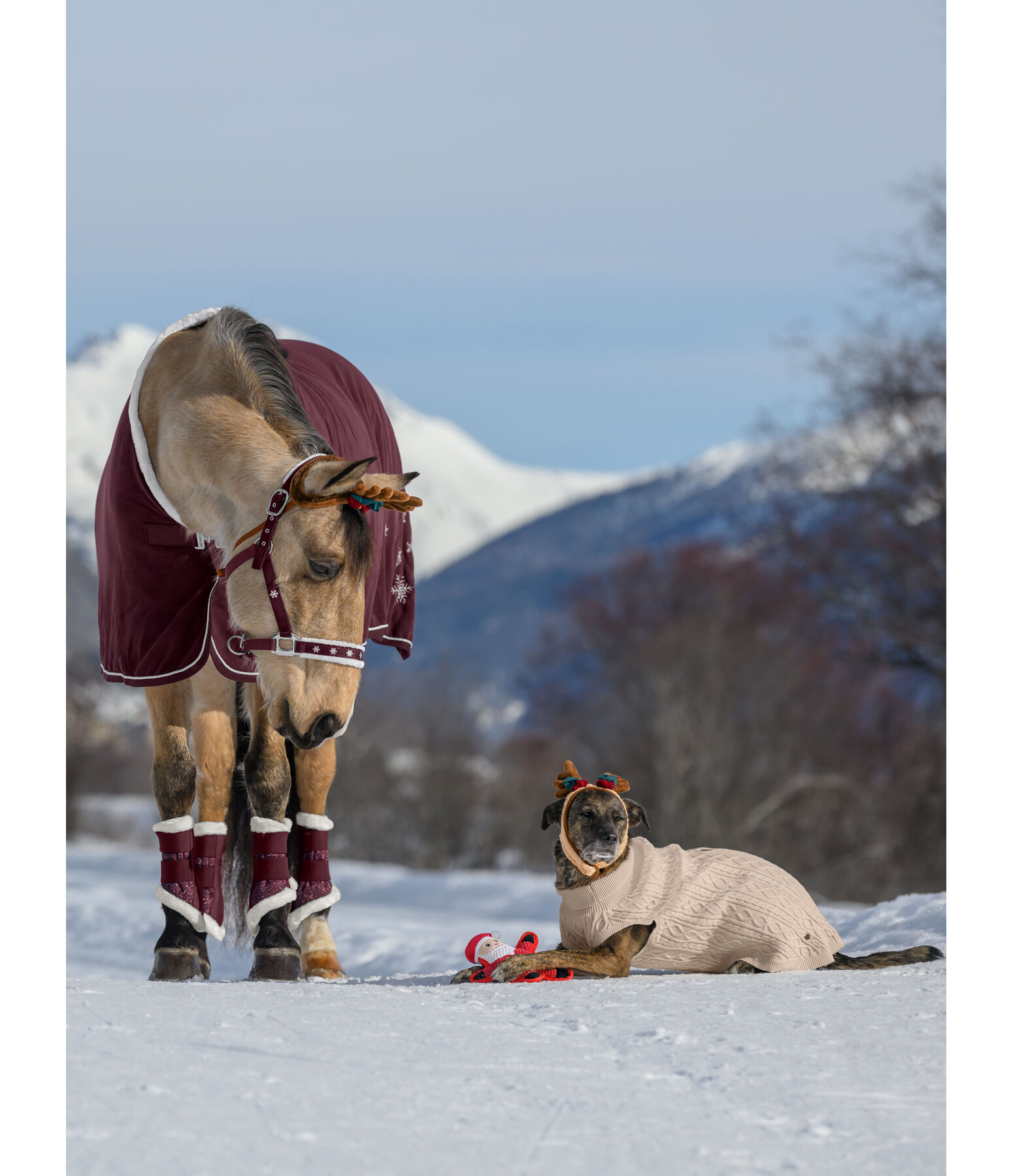 adventskalender voor paarden