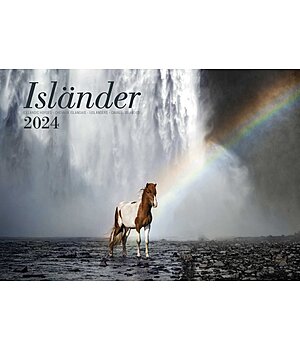 Ponyliebe Fotografie  IJslander kalender 2025  - 402419