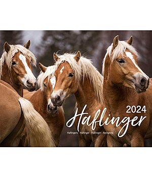 Equino Media Haflinger Kalender 2025 - 402531