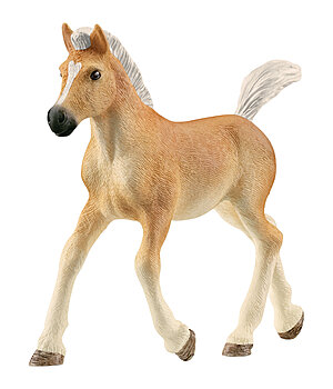 schleich Haflinger veulen - 621914