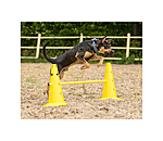 agility pylonen