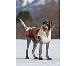 sherpa honden hoodie Sawyer