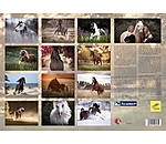 Horses Kalender 2025