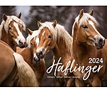 Haflinger Kalender 2025