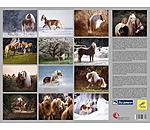 Haflinger Kalender 2025