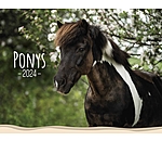 Pony kalender 2025