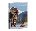 adventskalender voor paarden