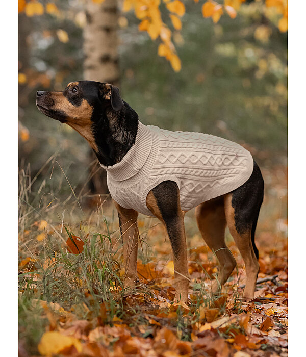 honden pullover Maisie