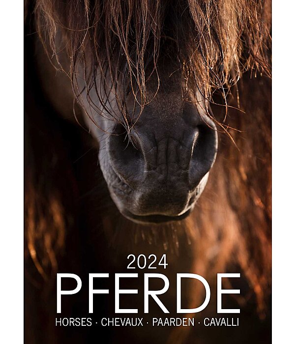 Paardenkalender 2025