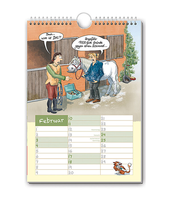 Paardenverhalen: comic kalender 2025